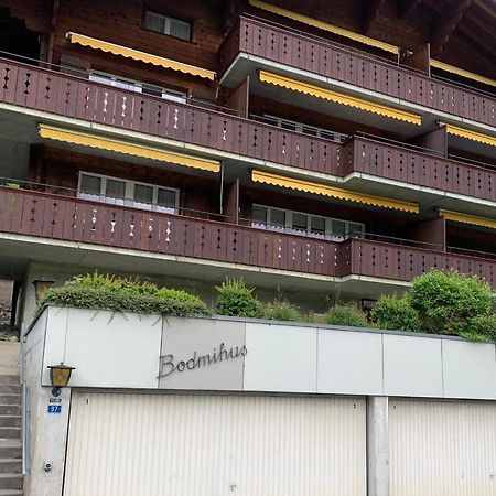 Apartament Luxury, New - Amazing Views Grindelwald Eiger Jungfrau Moench Zewnętrze zdjęcie