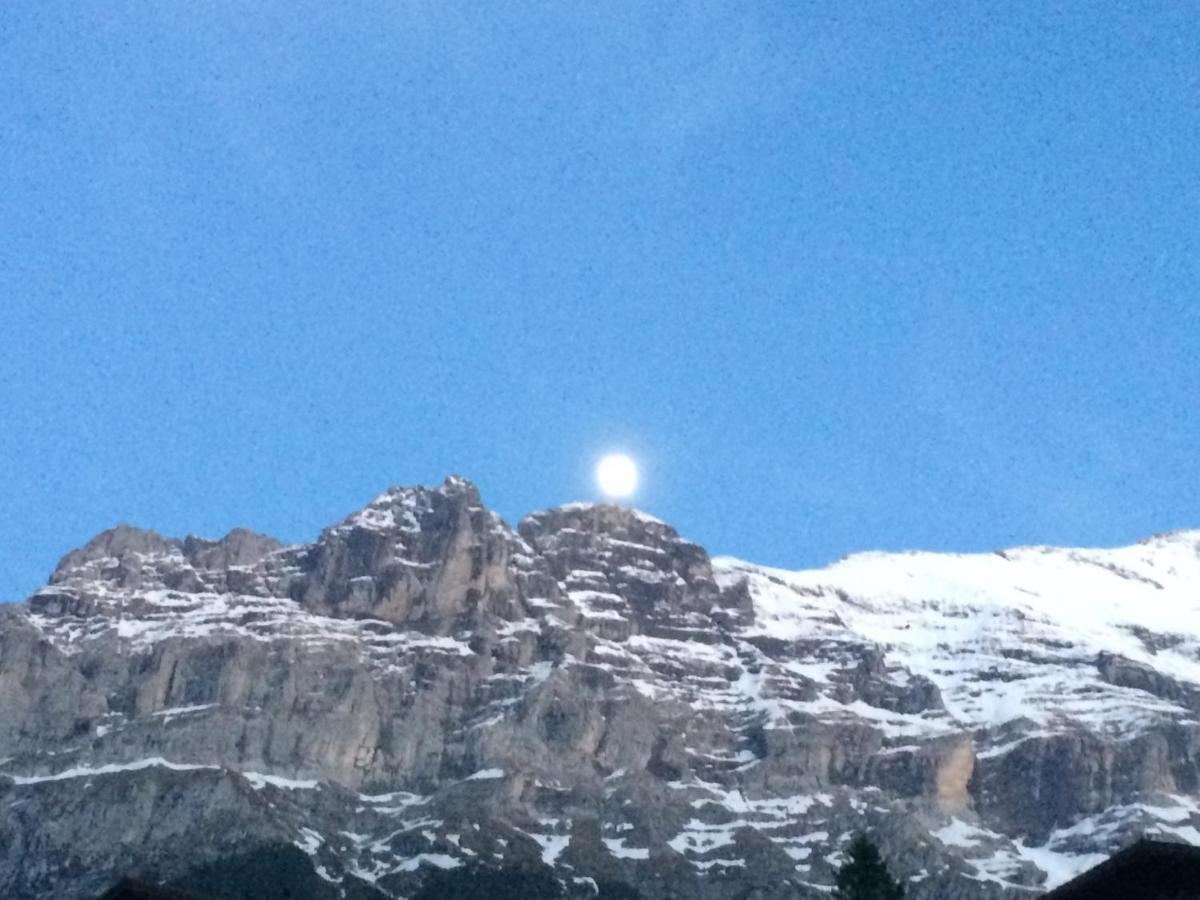 Apartament Luxury, New - Amazing Views Grindelwald Eiger Jungfrau Moench Zewnętrze zdjęcie
