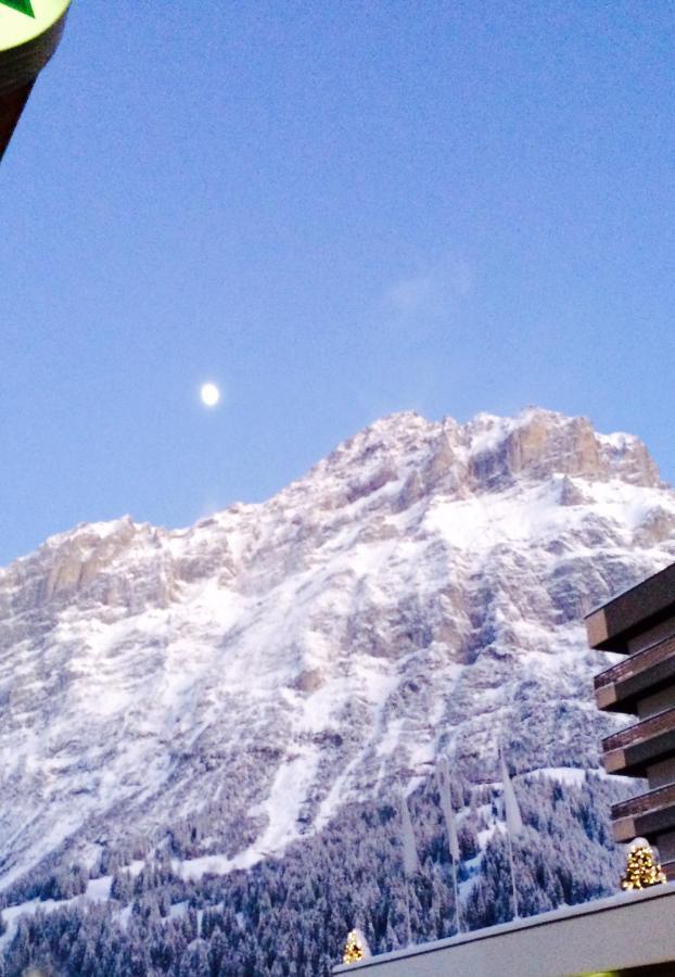 Apartament Luxury, New - Amazing Views Grindelwald Eiger Jungfrau Moench Zewnętrze zdjęcie