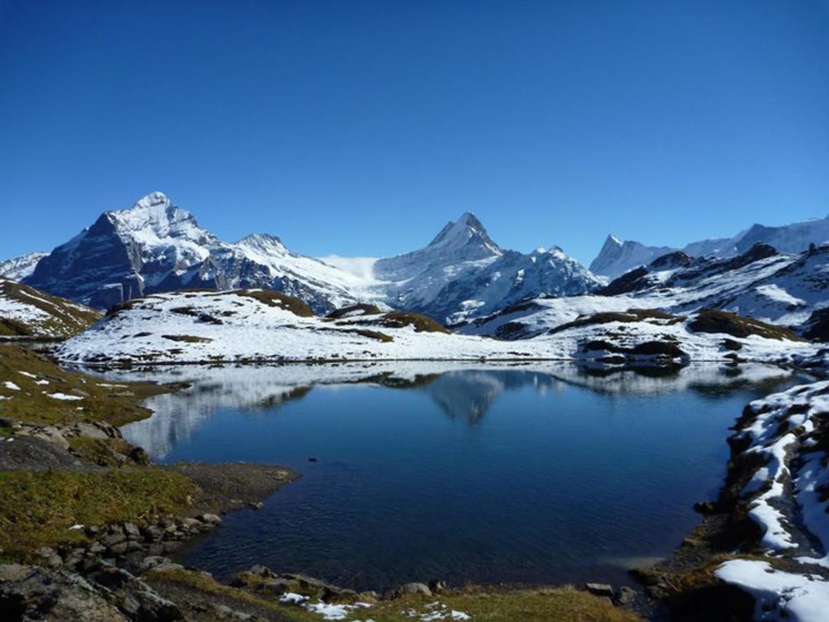 Apartament Luxury, New - Amazing Views Grindelwald Eiger Jungfrau Moench Zewnętrze zdjęcie